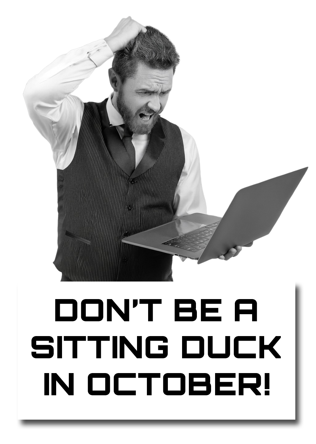 sitting-duck2