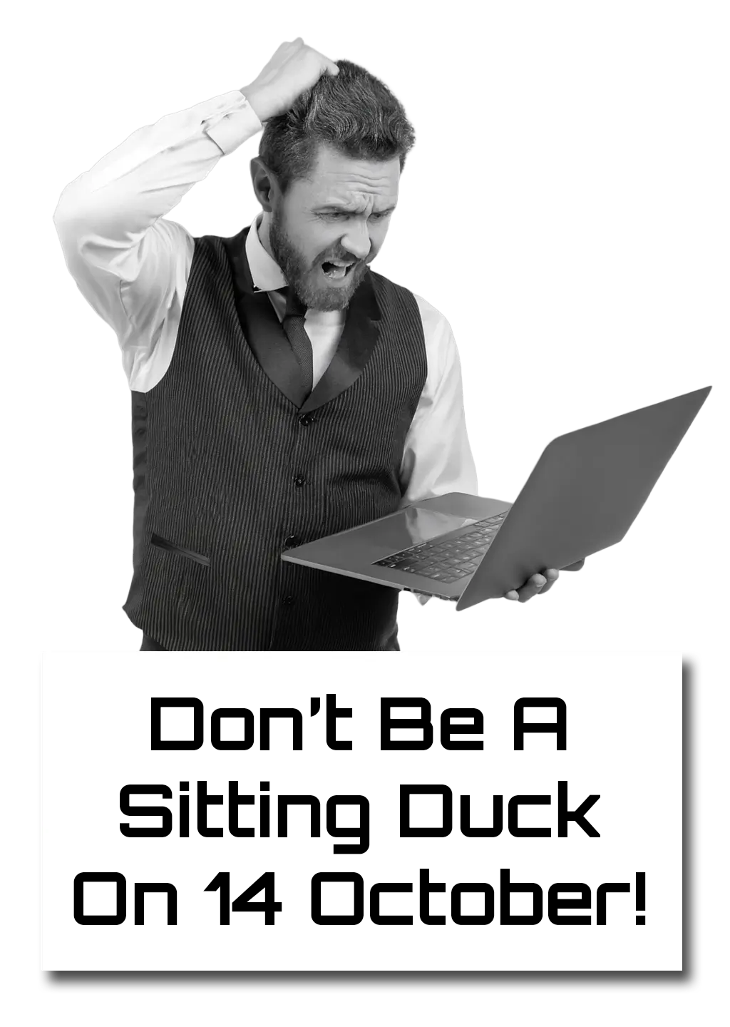 sitting-duck2